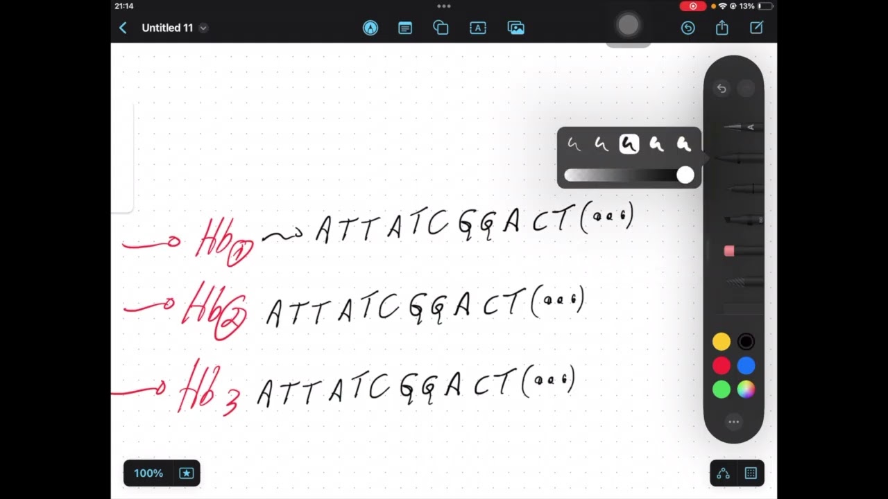 IMAT 2024 Q26 GENES vs ALLELES