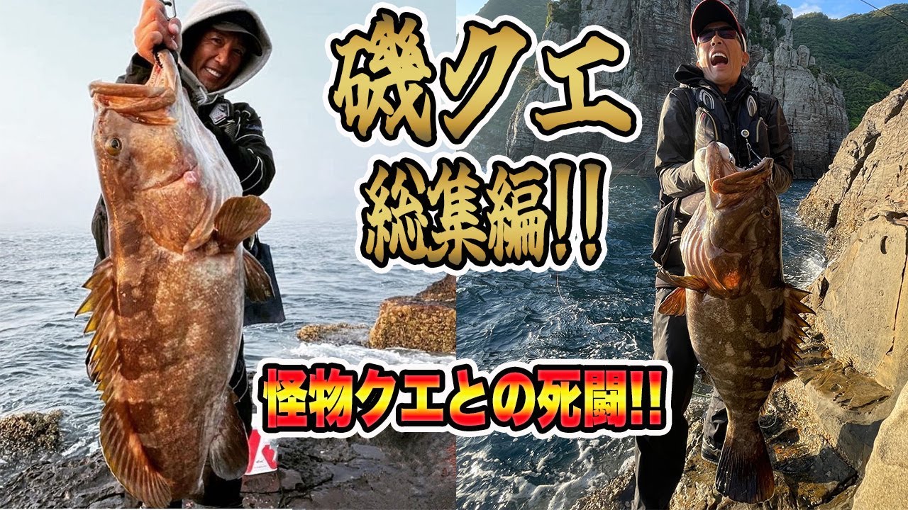 【クエ釣り】磯クエ釣り総集編❕突然の舞い込み満載❕モンスター・クエとの格闘❕