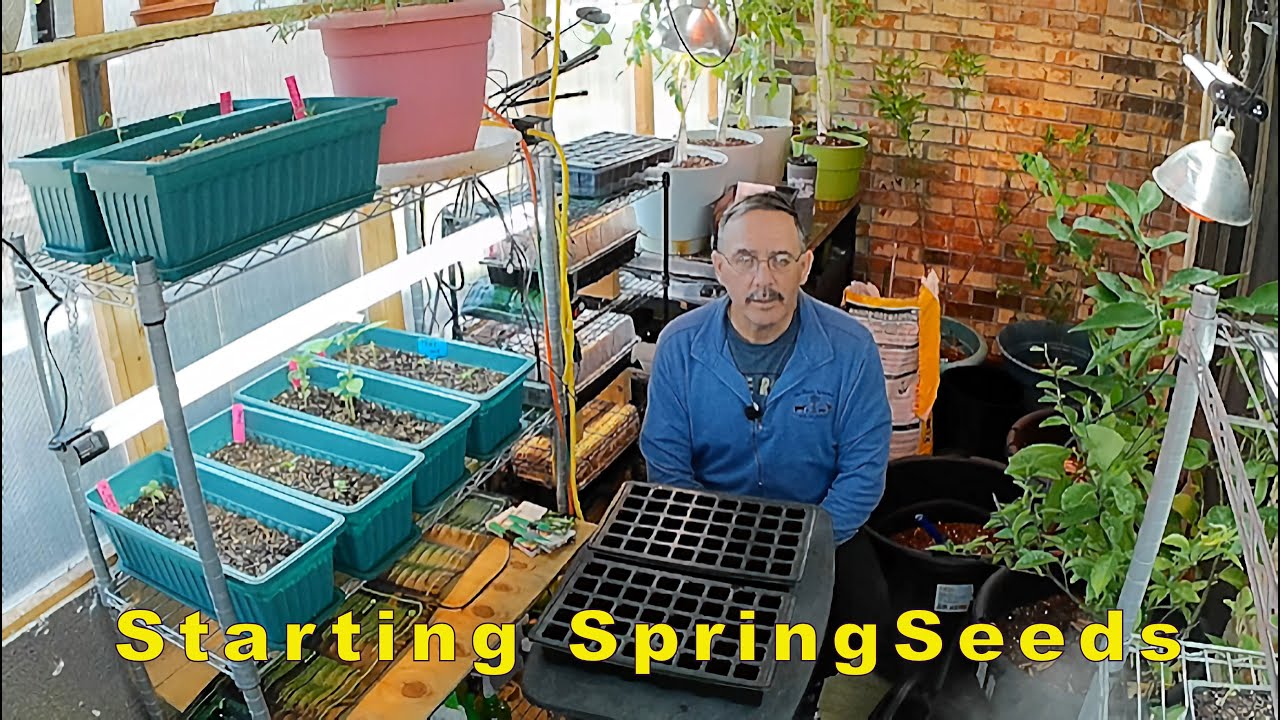 Starting spring seeds