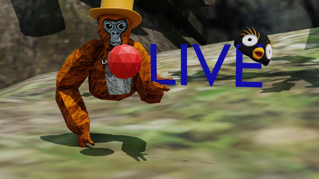 gorilla live steam