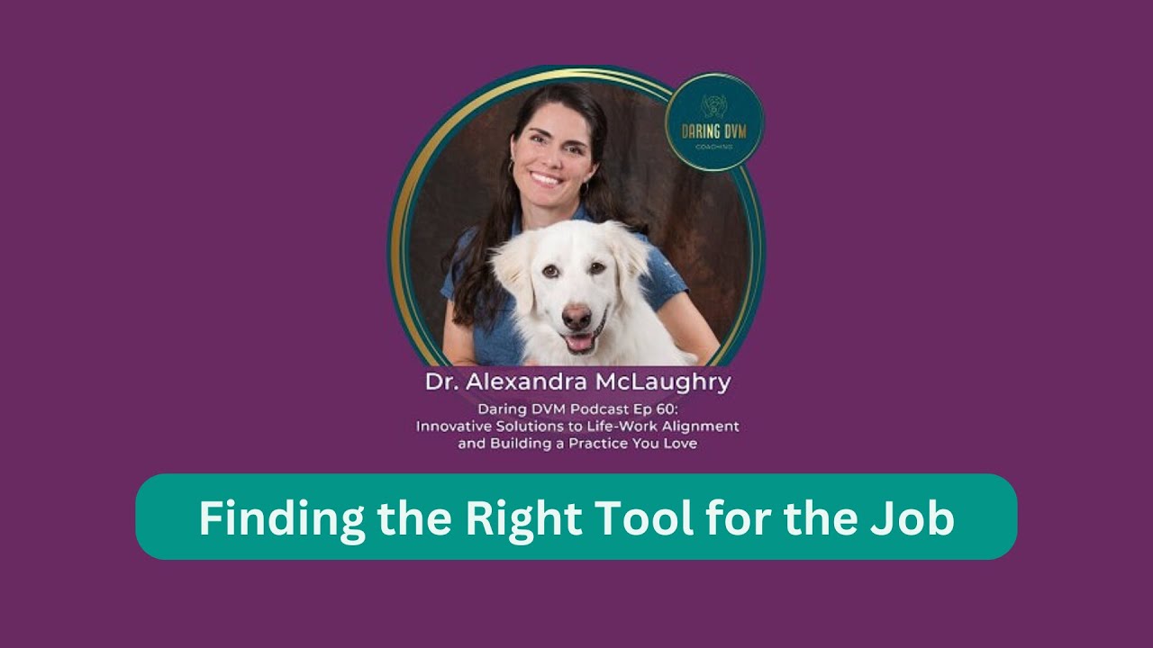 Needed the Right Tool for the Job  |  Daring DVM