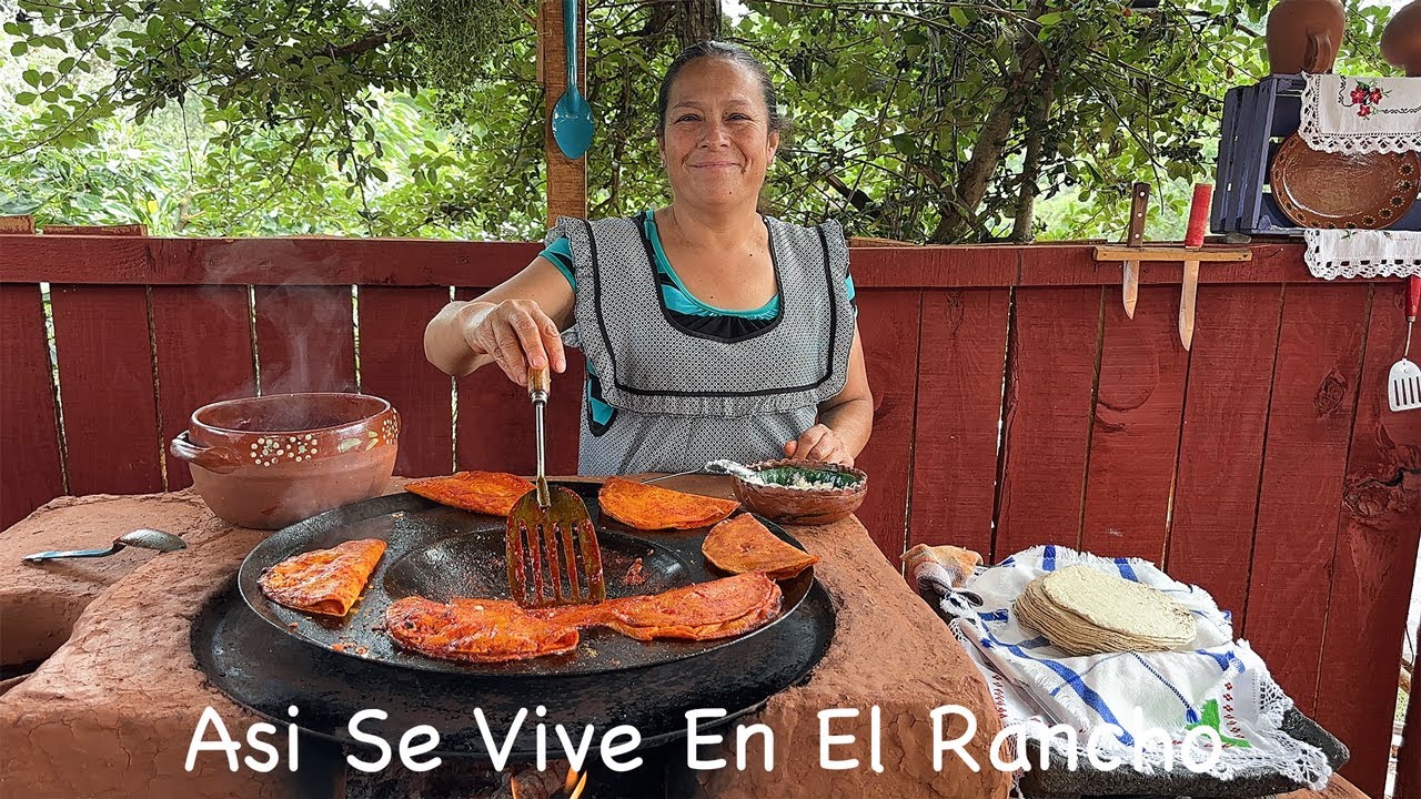 Prepara Estas Enchiladas Rojas Sencillas Fáciles de Hacer y Sabrosas