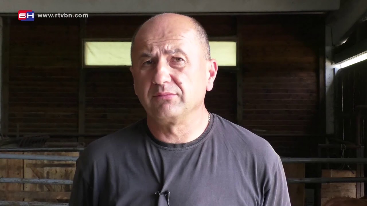 Farma krava Surijam - Mrkonjić Grad (BN TV 2020) HD