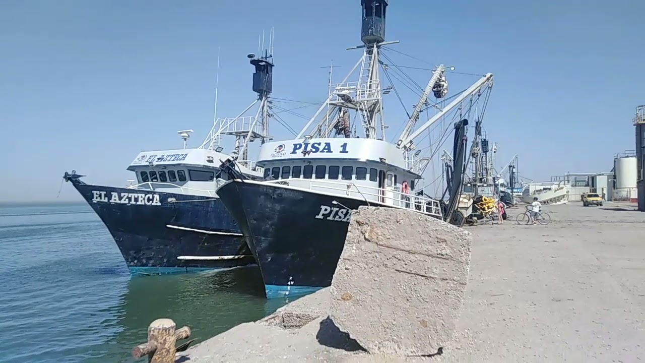 Vicitando el puerto de yavaros 🐟🐟🐟🐚🐚🐚🦈🐙🐙