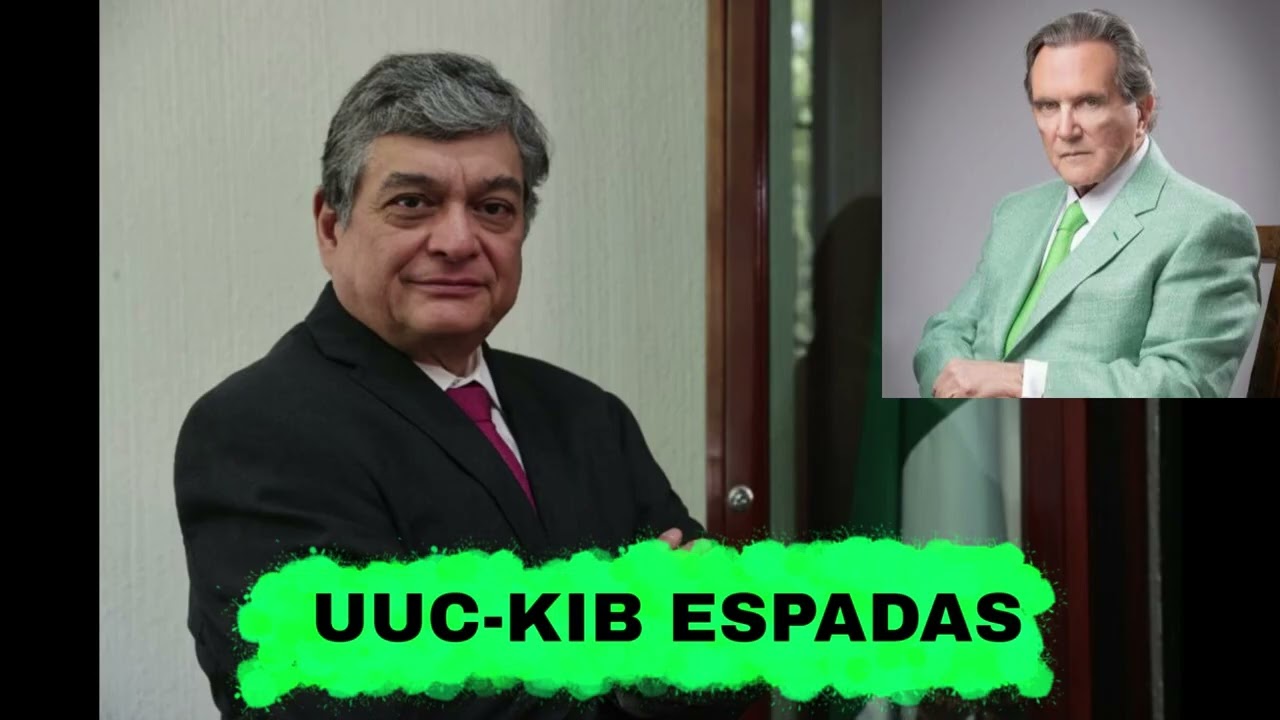 Uuc-kib Espadas: ¿la Reforma Electoral fortalece o debilita al INE?