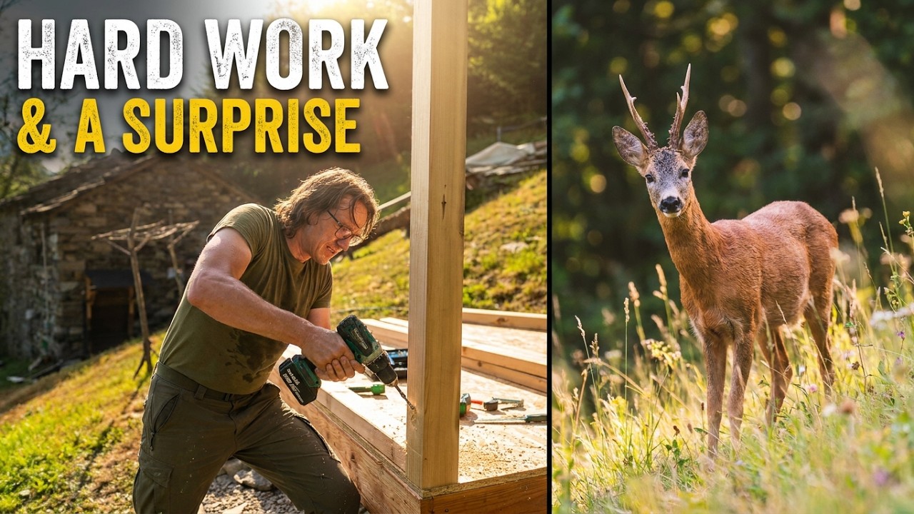 Off Grid Bathroom Build, Firewood Preparation & a Curious Roe Deer | EP 131