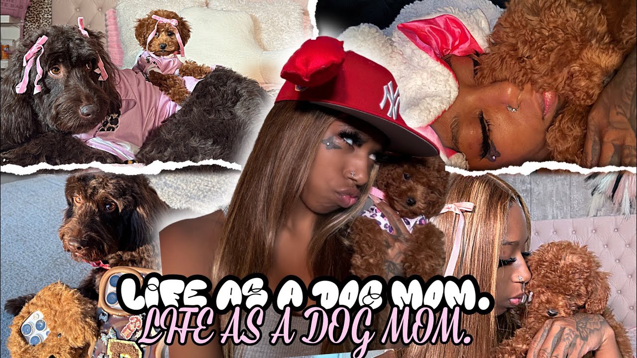 LIFE AS A PUPPY MOM !! 🐶😍