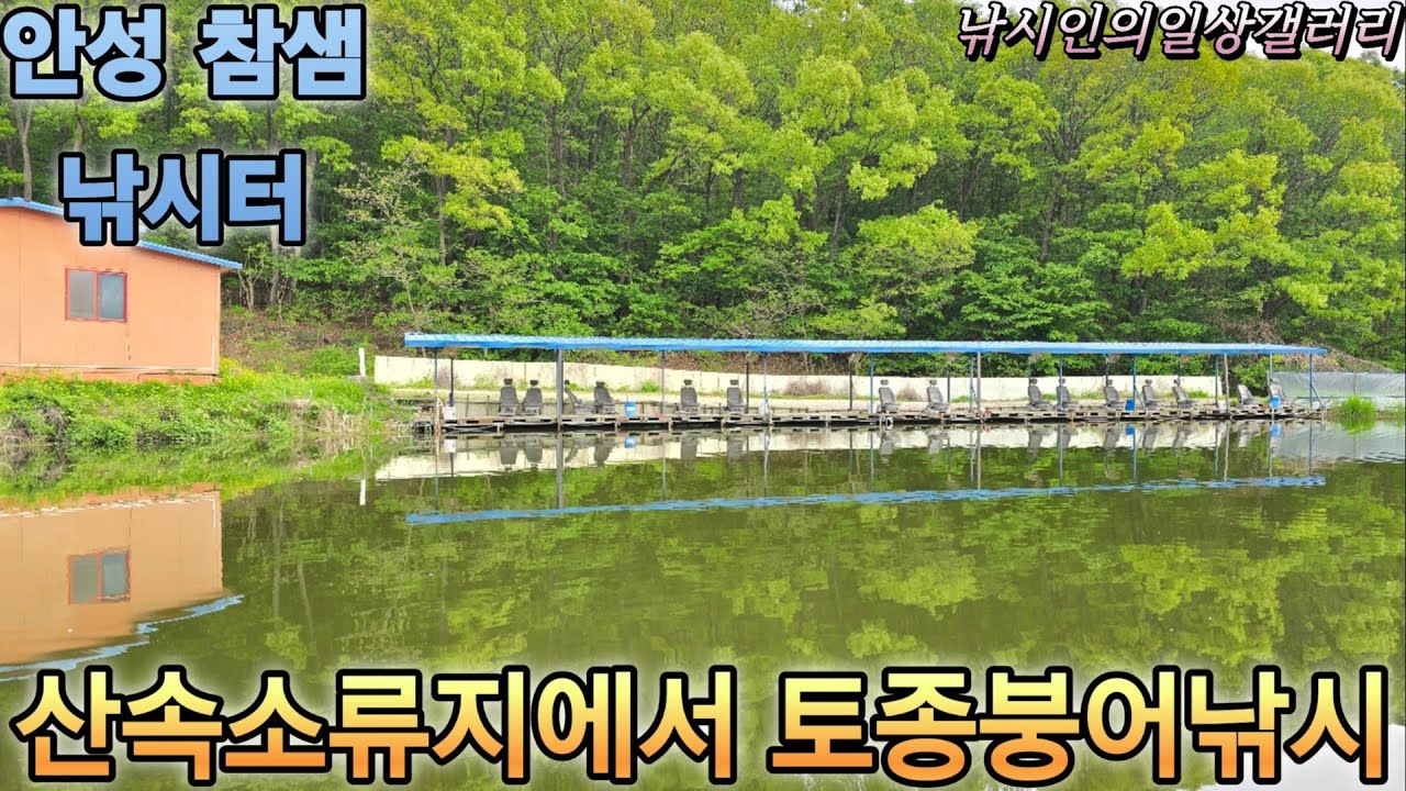 산속소류지에서 토종붕어낚시(안성 참샘낚시터)