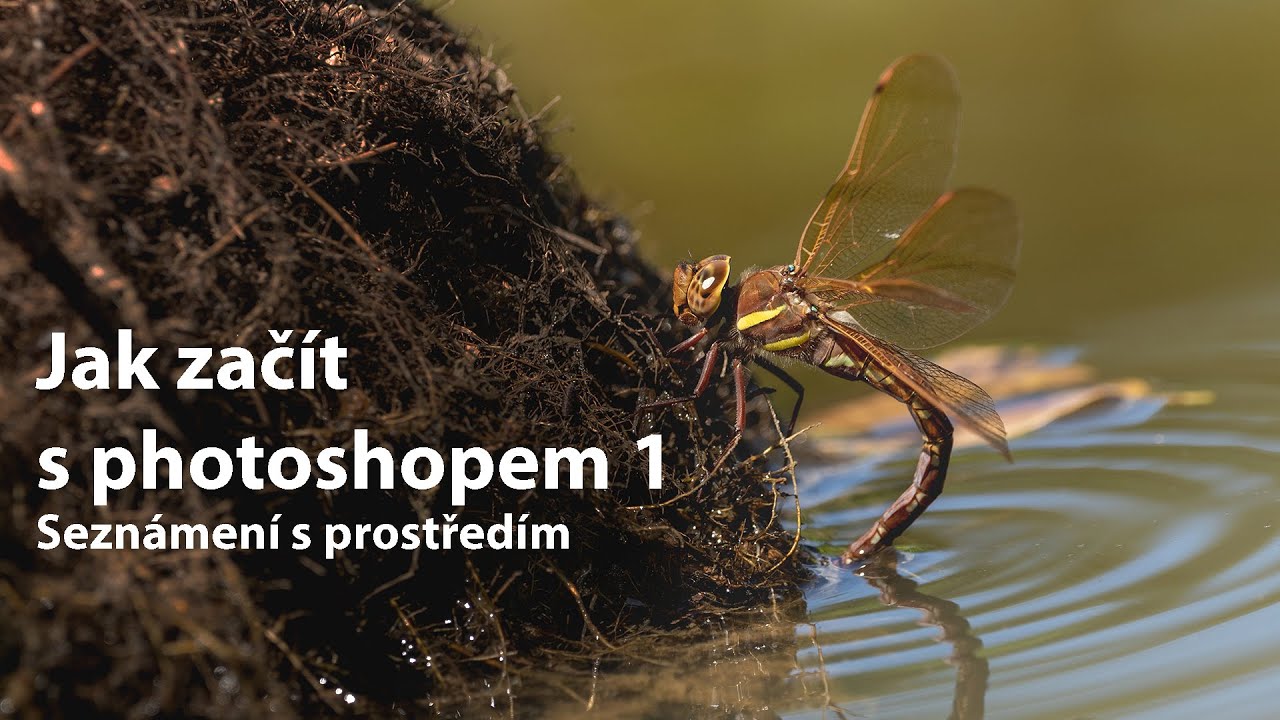 Jak začít s photoshopem 1- seznámení s prostředím, nastavení, zrychlení, základní úprava fotky