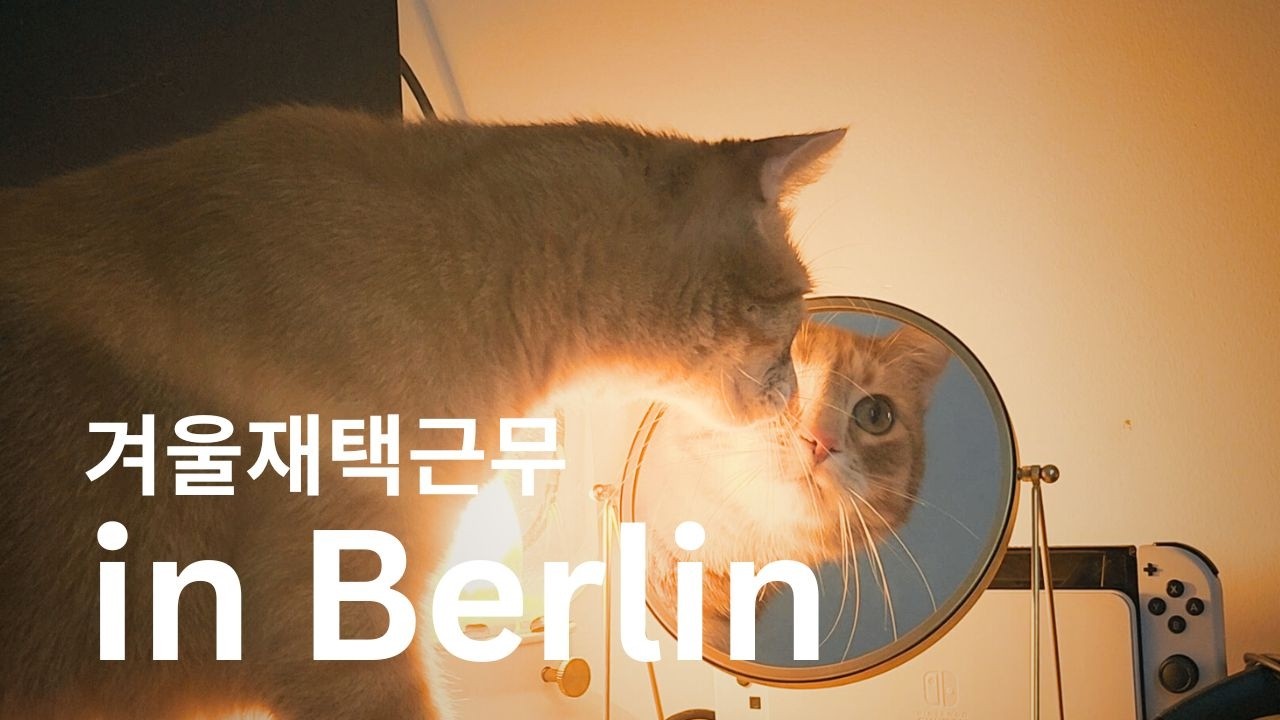🇩🇪🇰🇷 베를린 워킹맘 재택로그 #독일직장인 #재택근무 #독일대기업