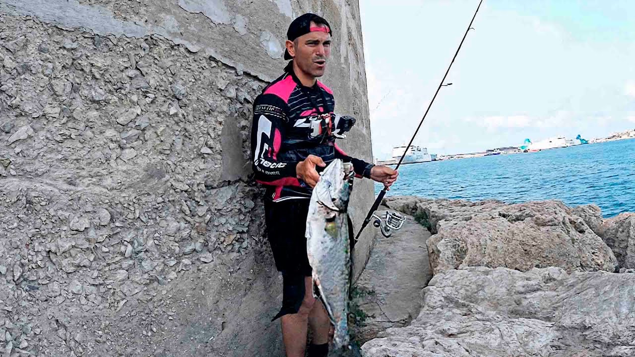 Pesca de PEJE REYES en ANJOVA-LAND! &iexcl;&iexcl;Hay demasiadas, y BARRACUDAS!!
