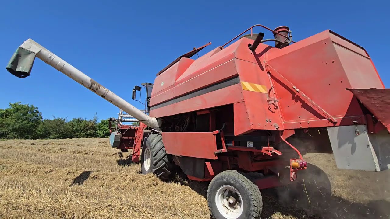 Bizon BS Z110 - Żniwa 2024