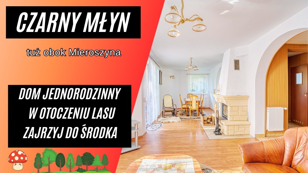 CZARNY MŁYN /k. Mieroszyna -  zajrzyj do środka domu w otoczeniu lasu