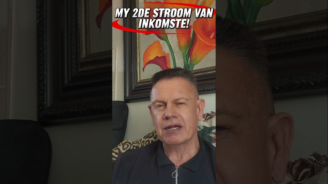 ŉ 2De stroom van Inkomste! 