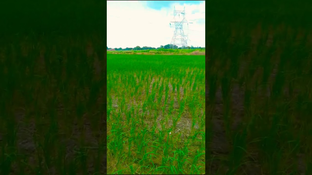 subscribe 🙏 😂🤣