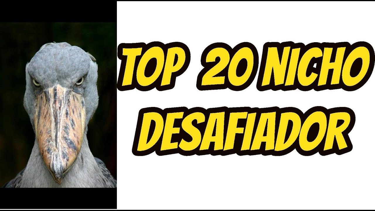 TOP 20 NICHO DESAFIADOR EXPANDA SEU NARIZ NUTELLA !!!
