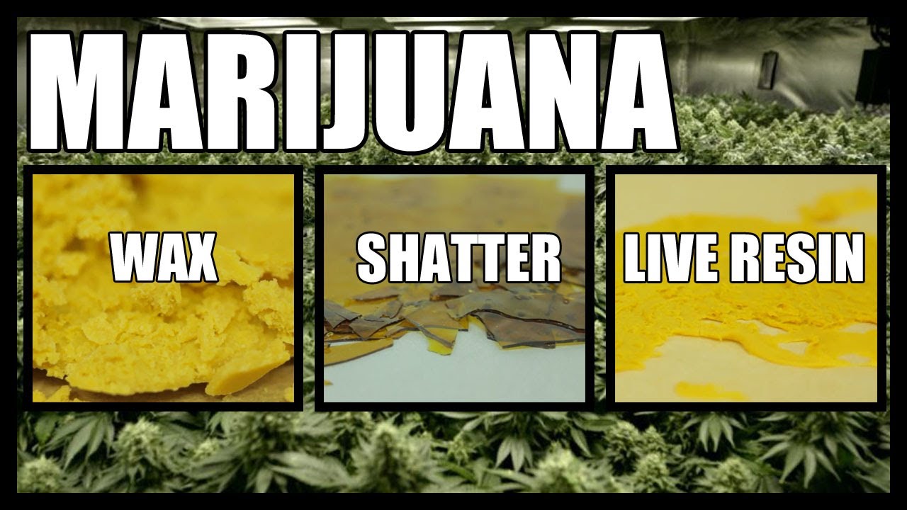 Marijuana Wax, Marijuana Shatter, Marijuana Resin. Types Of Cannabis Weed Pot THC 2020