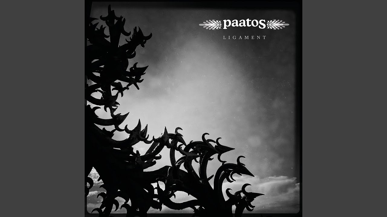 Last Ones Of Our Kind