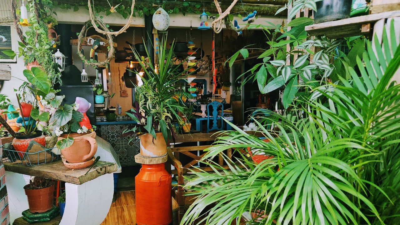 Entre vasos e afetos: cuidando do jardim e aproveitando cada espaço