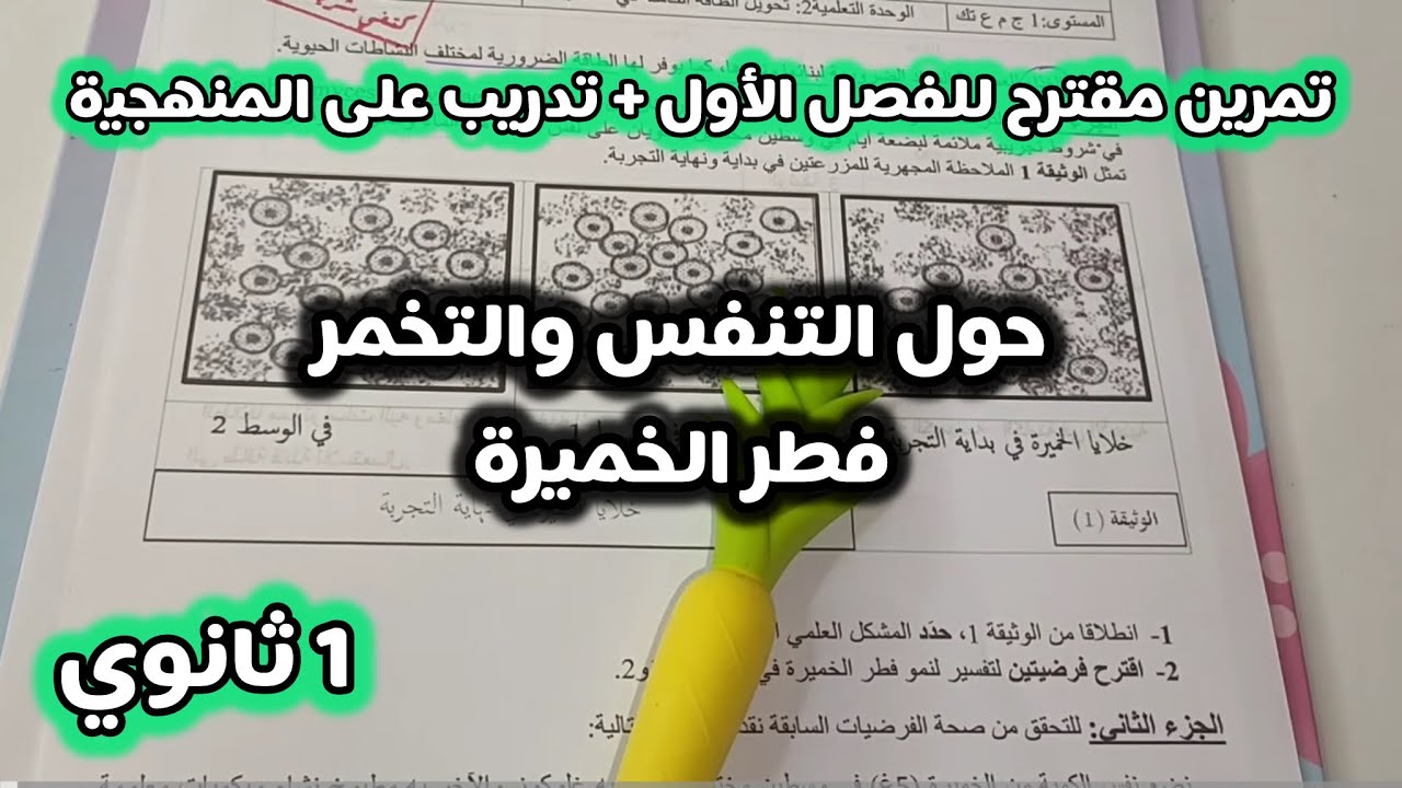 اولى ثانوي 🔥تمرين مقترح بقوة لاختبار الفصل الاول| حول التنفس والتخمر✍🏼خميرة الخبز+تدريب على المنهجية