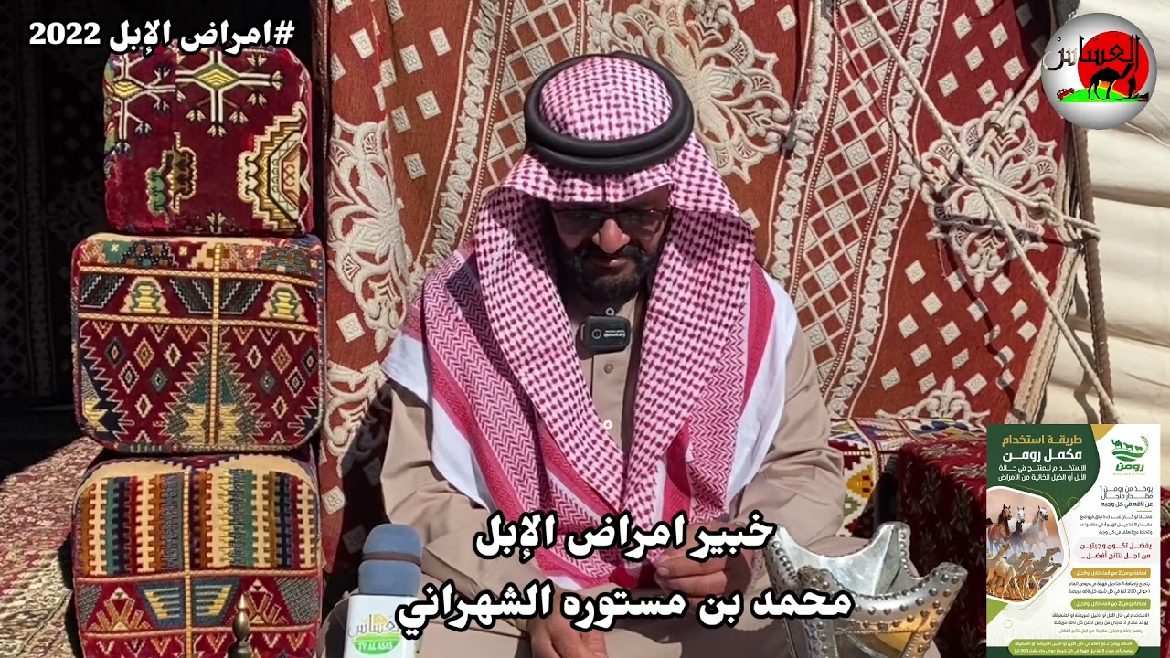 مرض الطير خبير امراض الإبل /محمد بن مستوره
