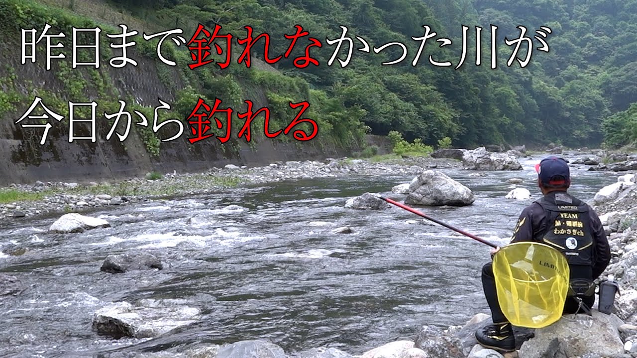 鮎釣り歴4年目の苦悩!?不調河川での鮎釣り【神流川】
