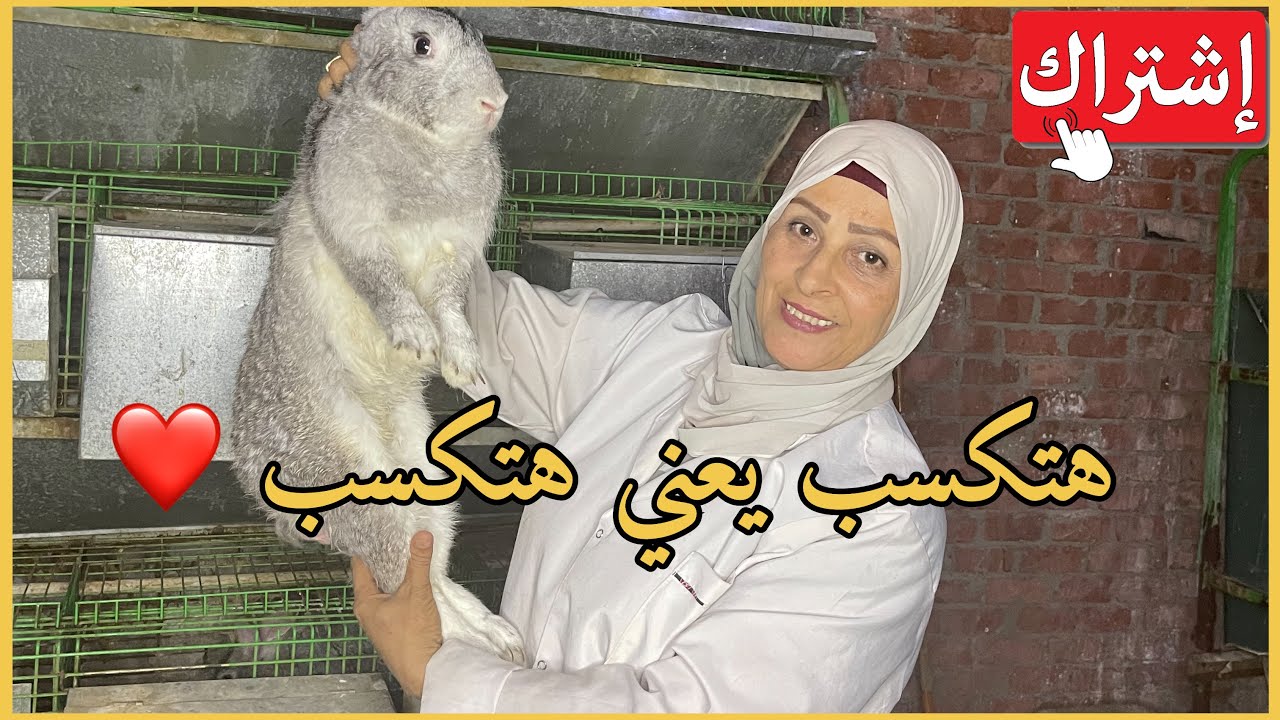 أزاي تنجح في مشروع الارانب وتكسب منو مشروع في بيتك ومكسبو جميل جدا