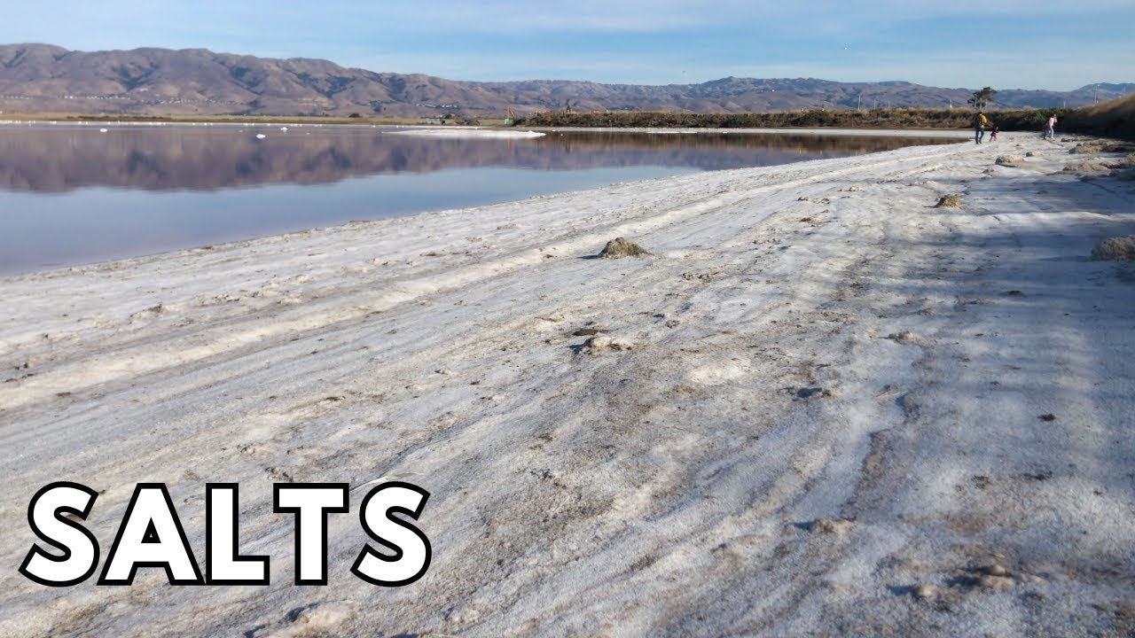 Walking in San Francisco Bay Salt Ponds