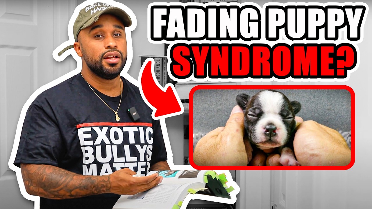 What’s Fading Puppy Syndrome?