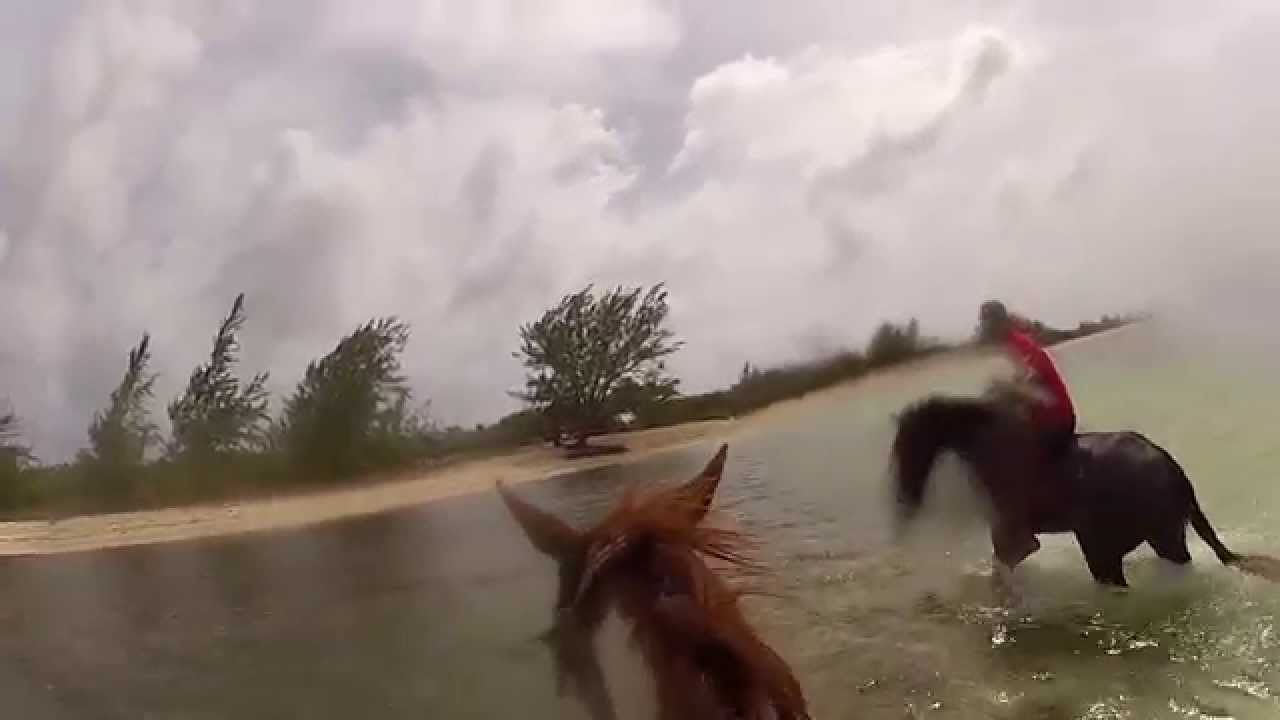 GoPro HD: Grand Cayman Horse Riding