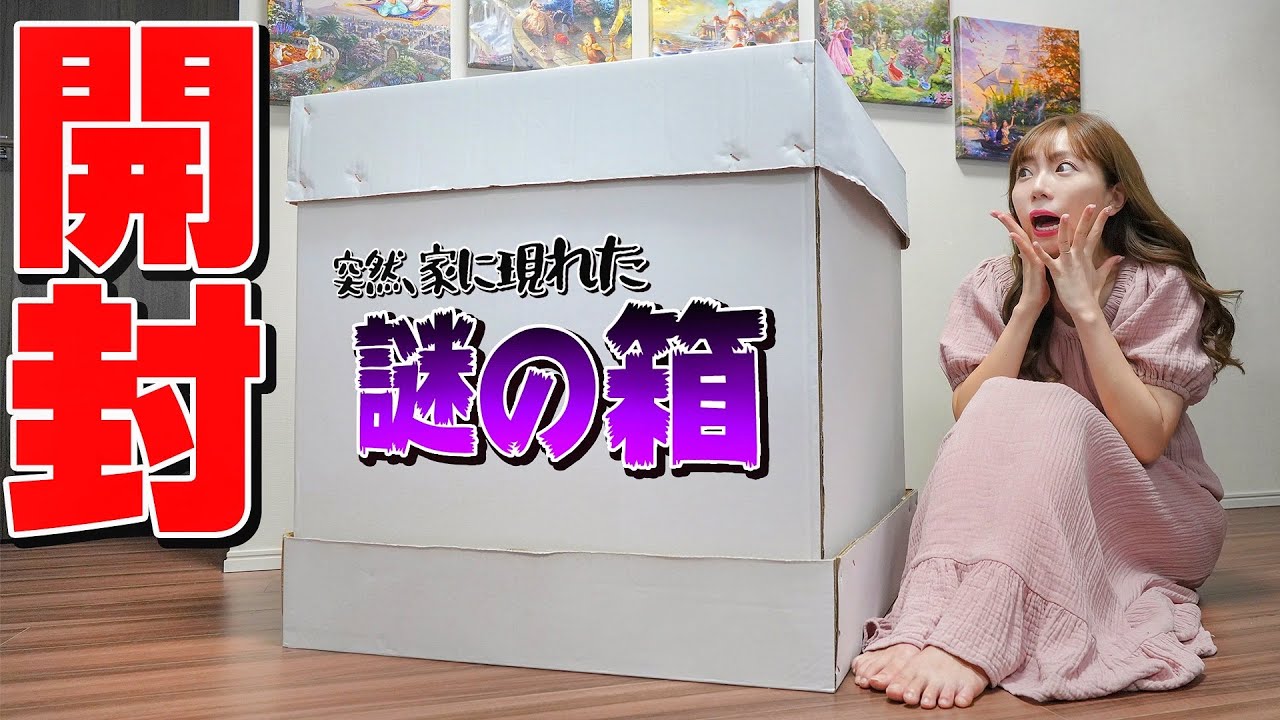【大量のディズニーグッズ】家に届いた謎の箱を開封したら衝撃展開に…