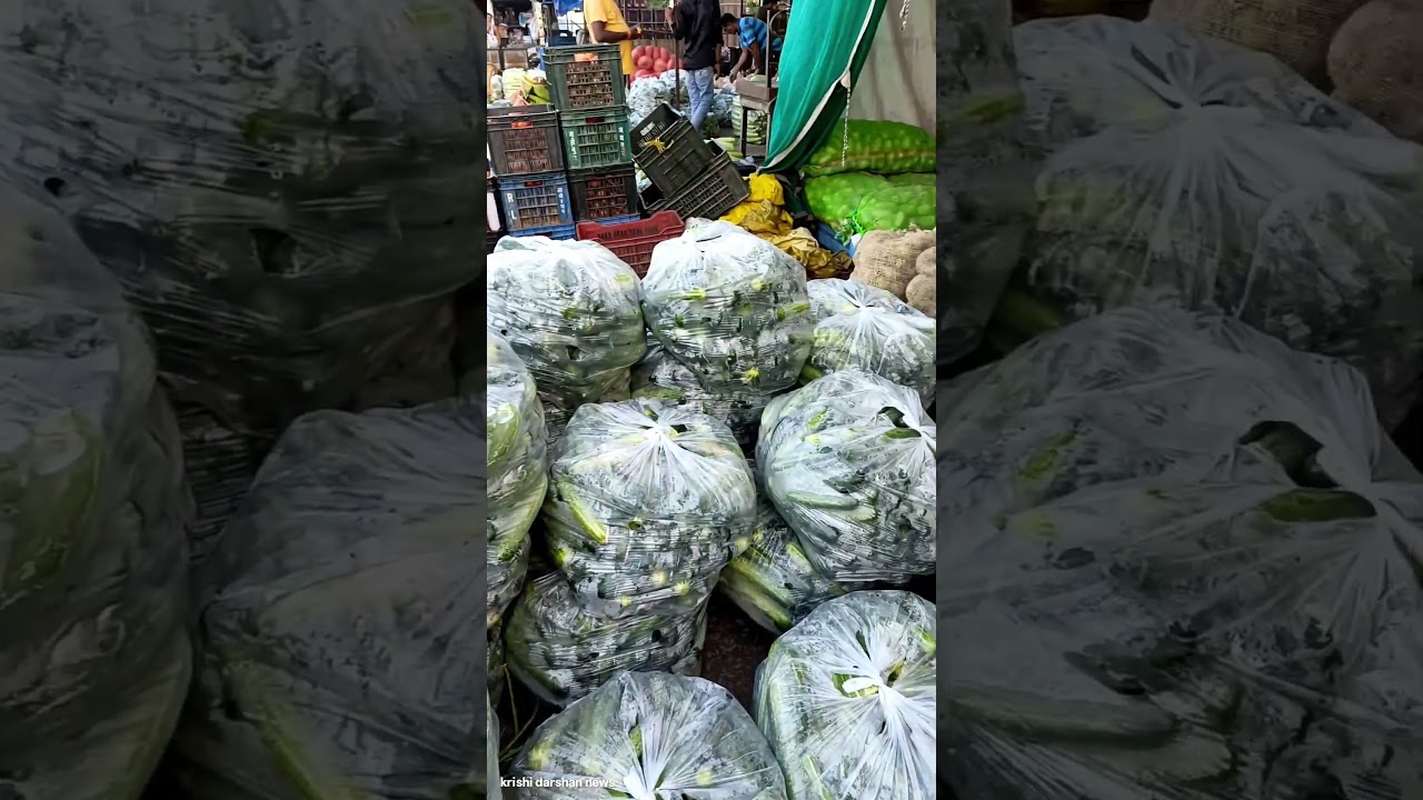 रेवाड़ी सब्जी मंडी भाव 