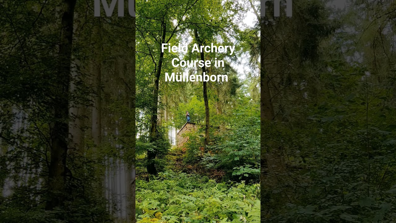 Field Archery SuSC M&uuml;llenborn - Downhill #shorts