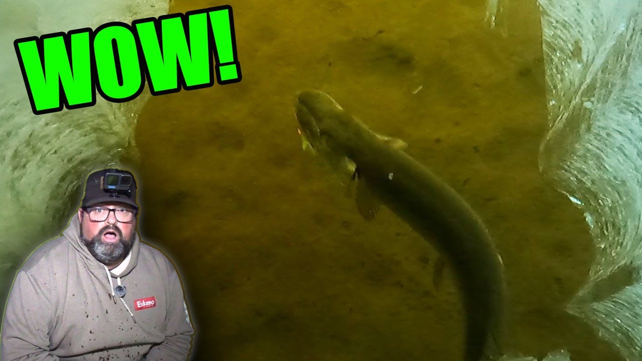 Sight Fishing GIANT PIKE! | Ice Fishing!