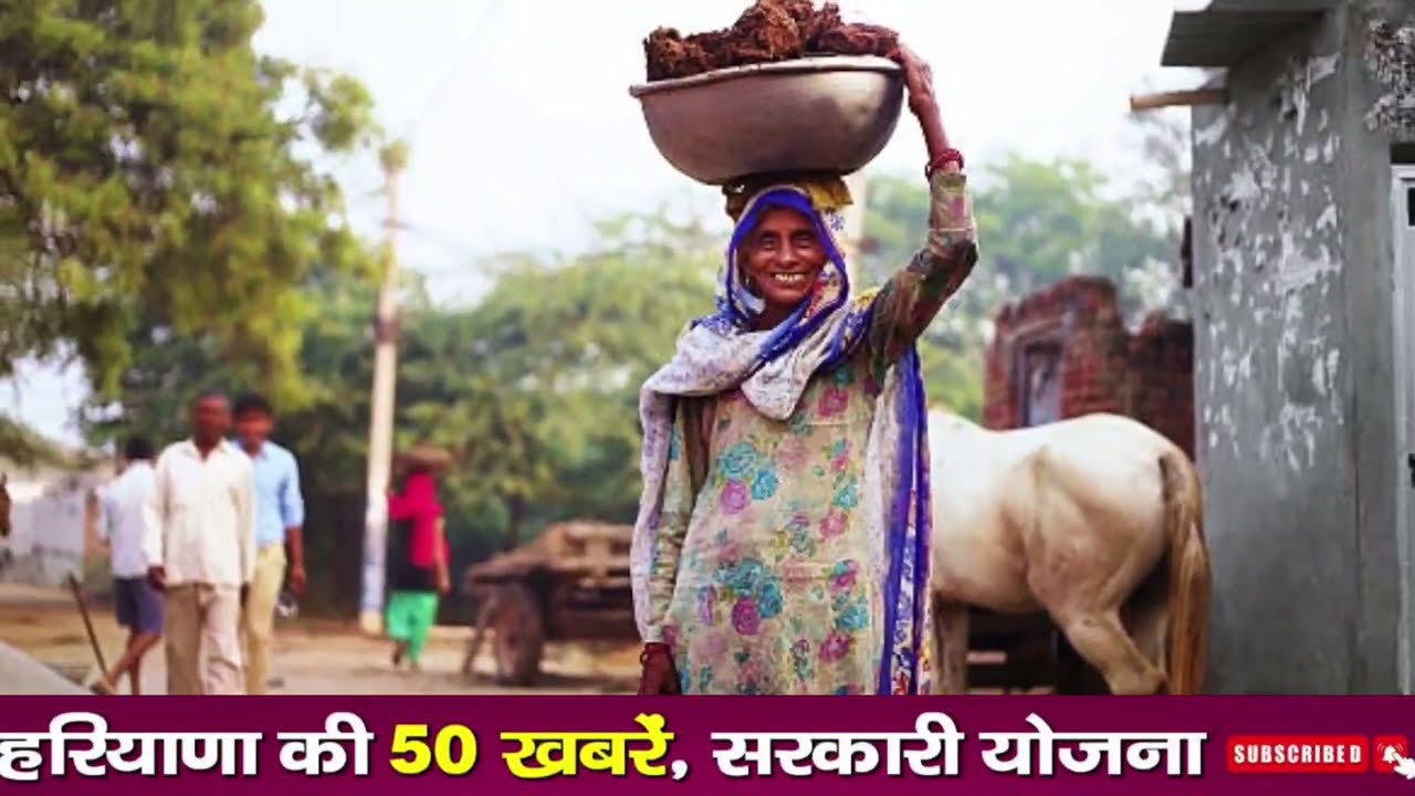 19 October 2025 Haryana News: Haryana Ki Taja Khabar Mukhya Samachar Haryana Daily News