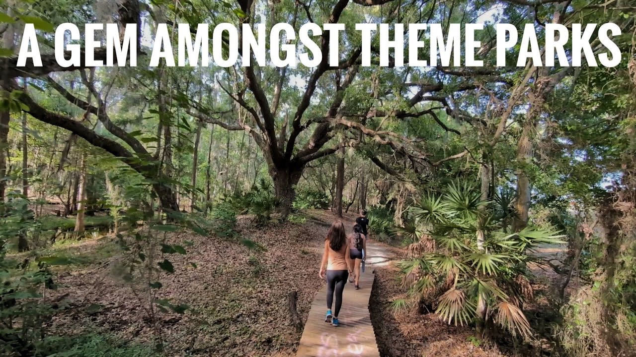 We visit Shingle Creek trail in South Orlando / Hunters Creek. ASMR hiking in Florida.
