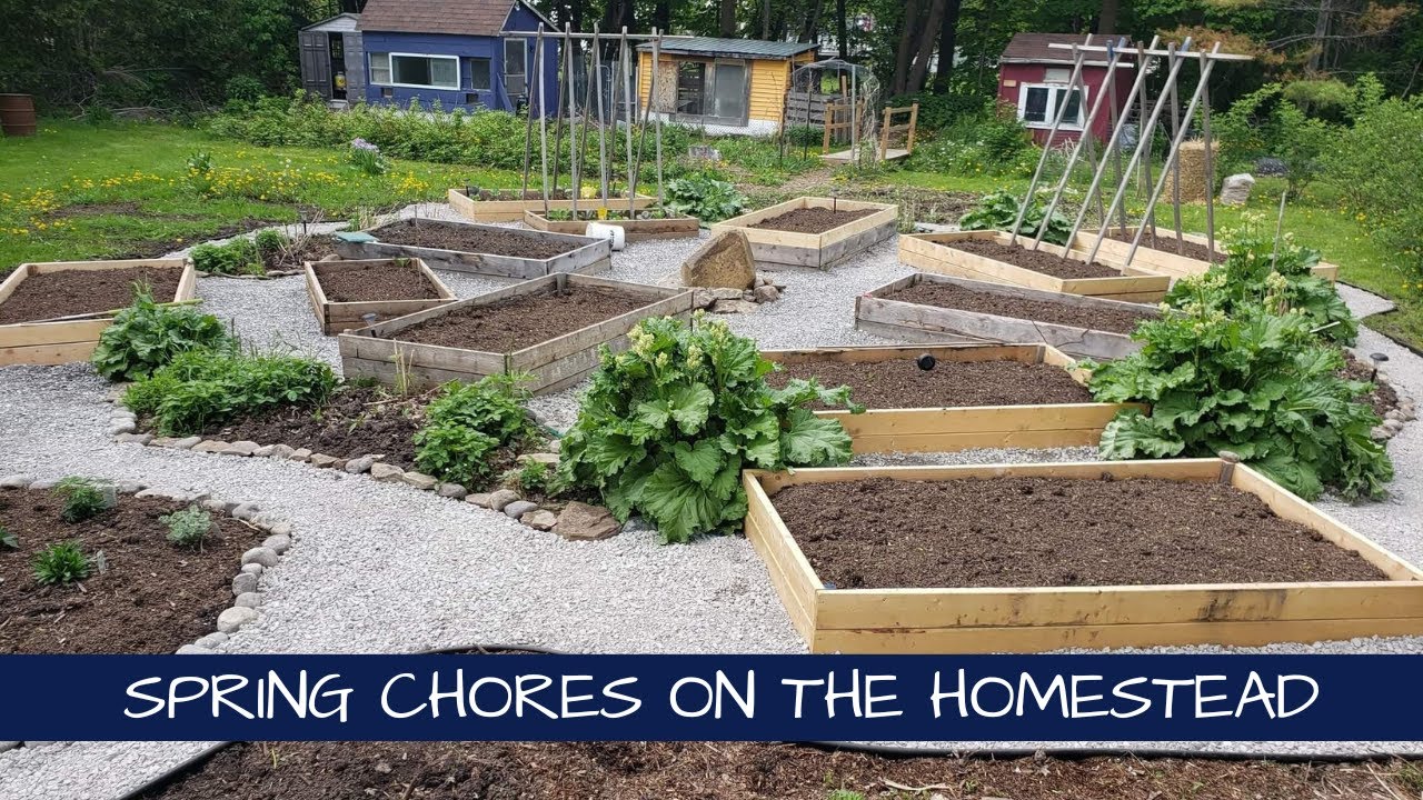 Spring Chores on the Homestead