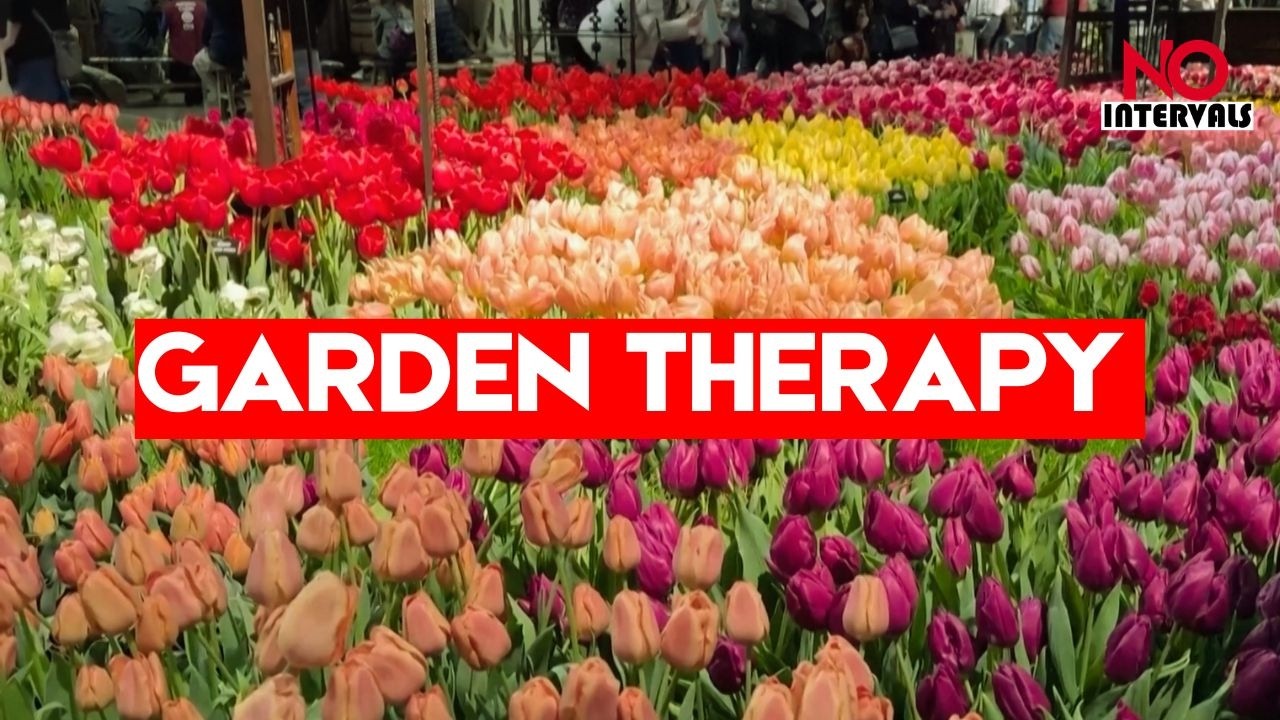 Inside The 2026 Philadelphia Flower Show! 