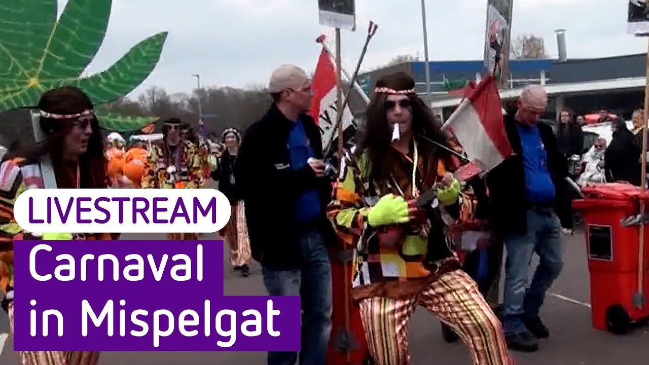 Carnavalsoptocht in Zaltbommel (Mispelgat) 2024 | Omroep Gelderland