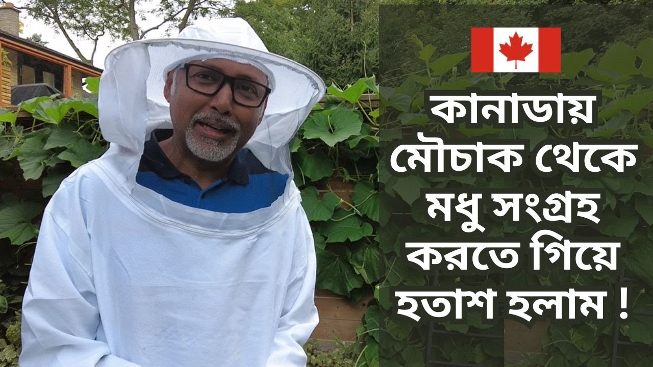 কানাডায় মৌচাক থেকে মধু সংগ্রহ করতে গিয়ে হতাশ হলাম ! Honey collection adventure in Canada