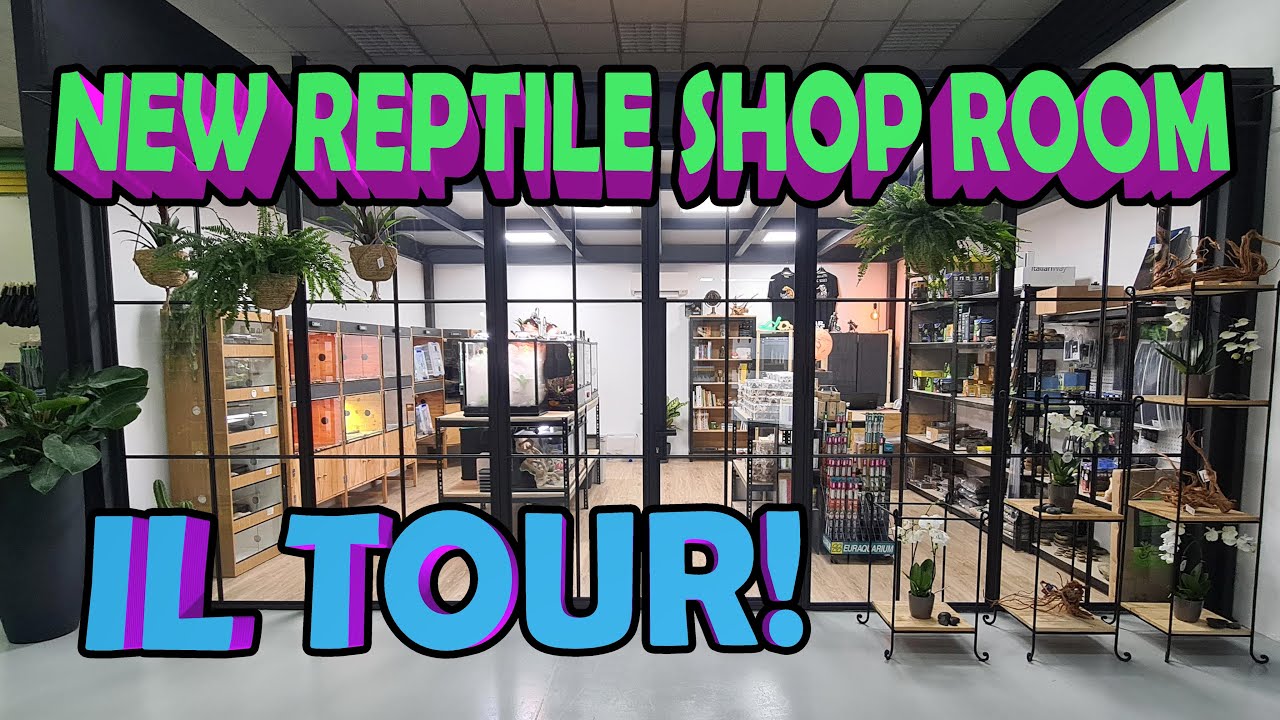 NUOVA REPTILES SHOP ROOM PRESENTAZIOE - SONO TORNATO - RETTILI BASSI GARDEN