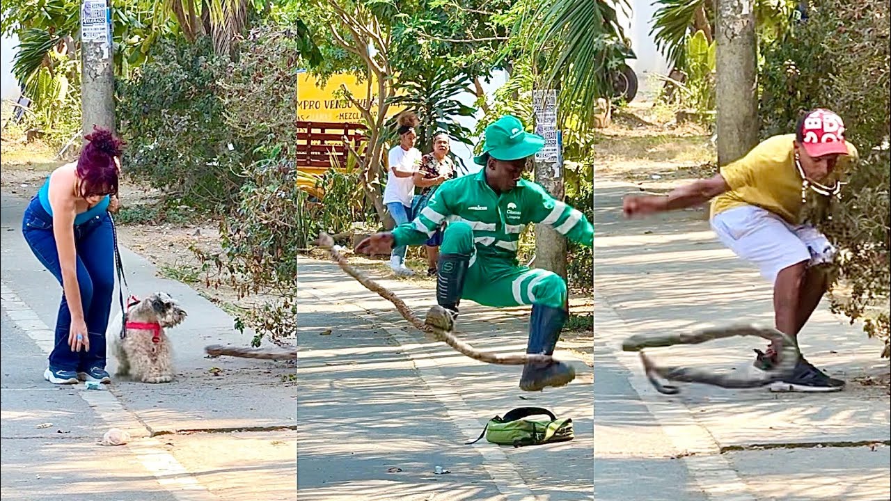 Cuidad0 Con La Serpiente! 🐍 😱