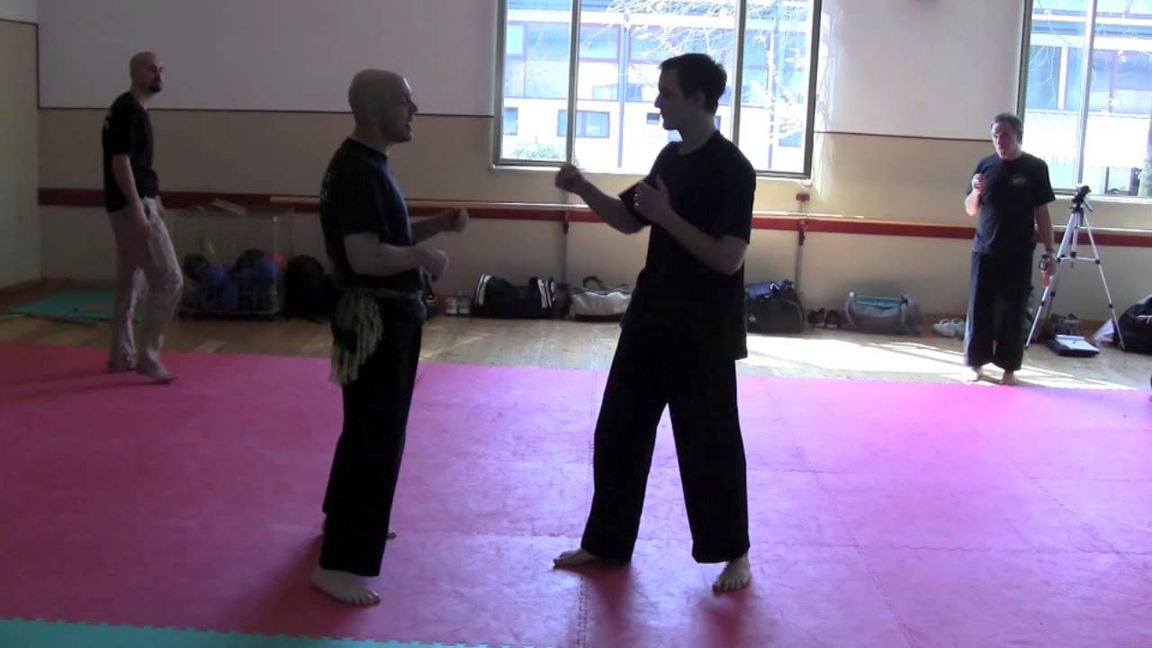 Baringin Sakti Pencak Silat Harimau Minangkabau Seminars in Switzerland and Italy