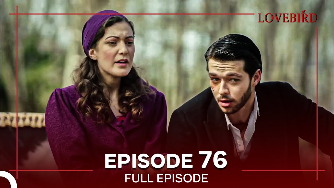 Lovebird Episode 76