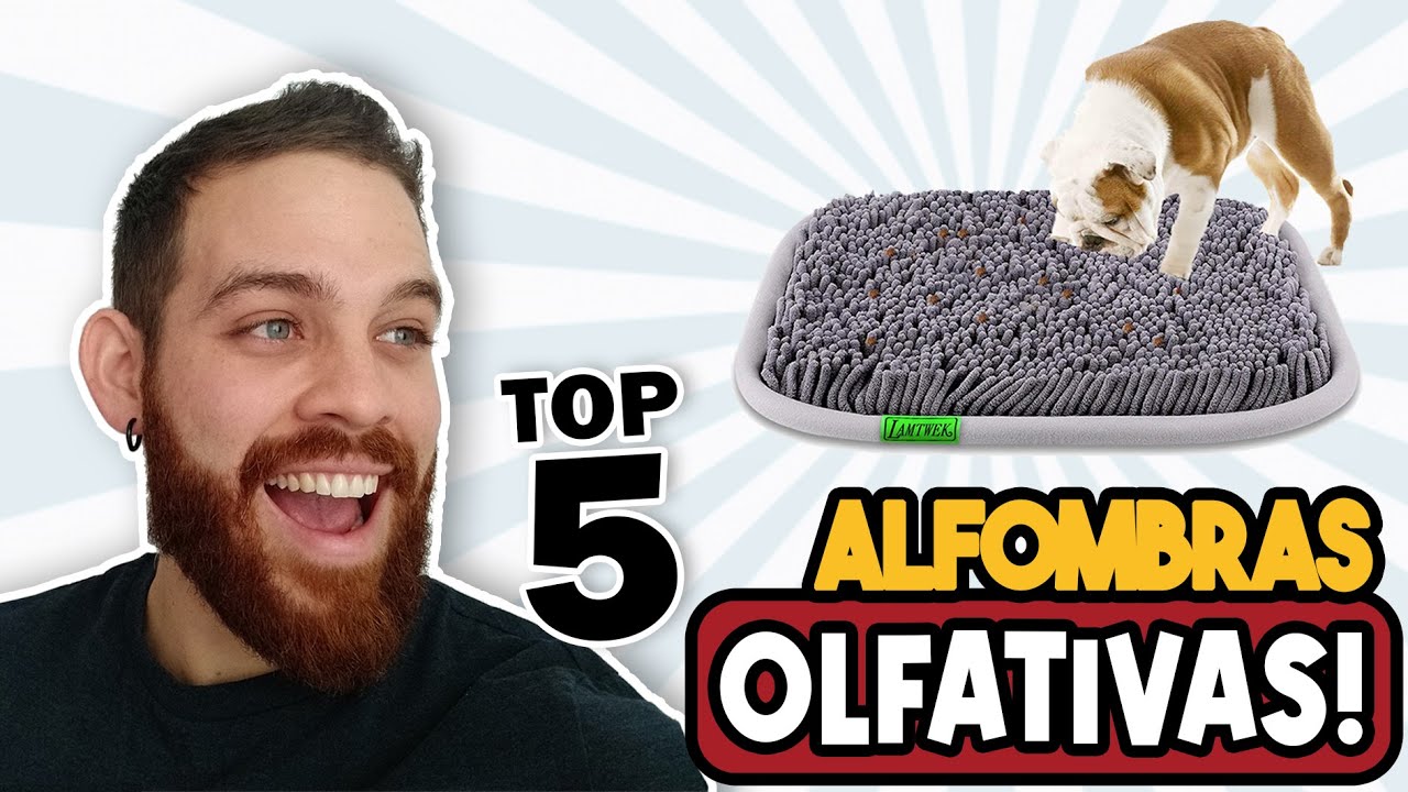 ⛺ DESCUBRE la Mejor Alfombra Olfativa para Perros Calidad-Precio ▶Amazon 2021◀