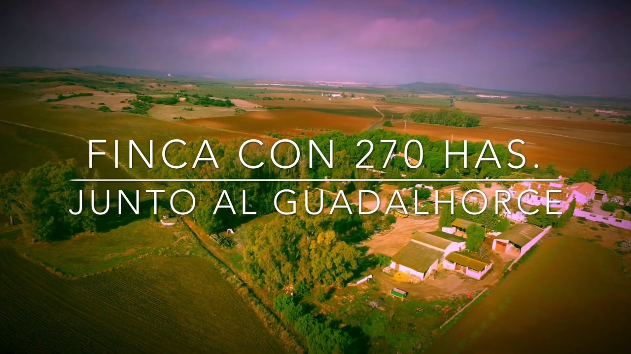 Cortijo con 267 has. de labor y olivar cerca del del Guadalhorce, a45' m de la Costa del Sol