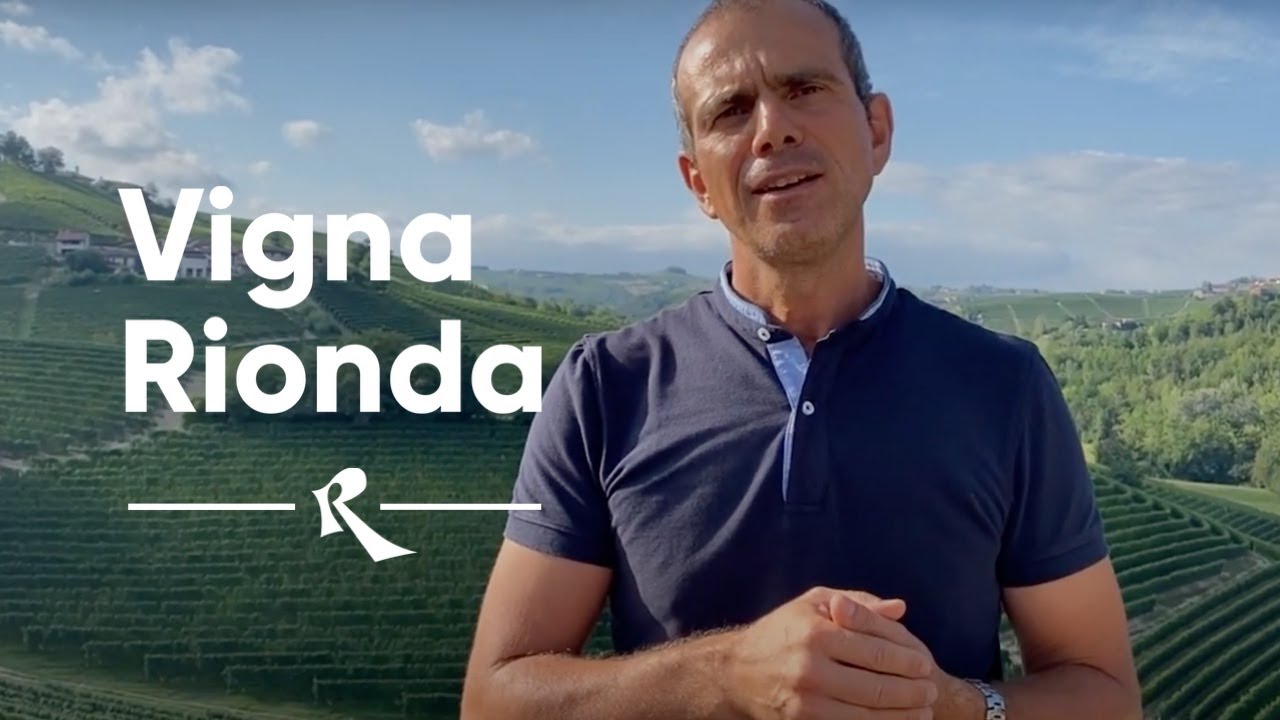 Massolino, Serralunga d'Alba,. Barolo  - Vigna Rionda