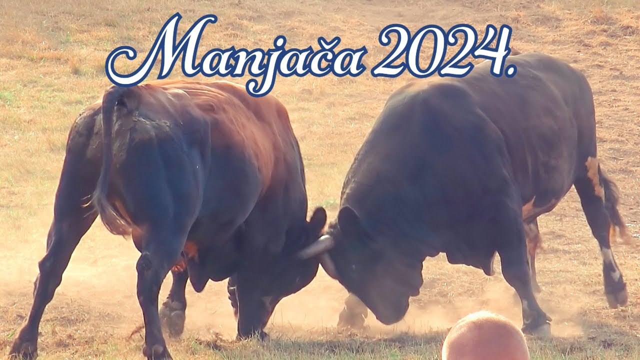 59. Kočićev zbor, Zmijanje, Manjača 2024. godine