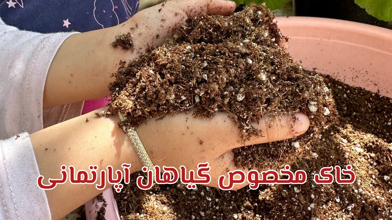 یک ترکیب خاک عالی برای گیاهان آپارتمانی|خاک خوب