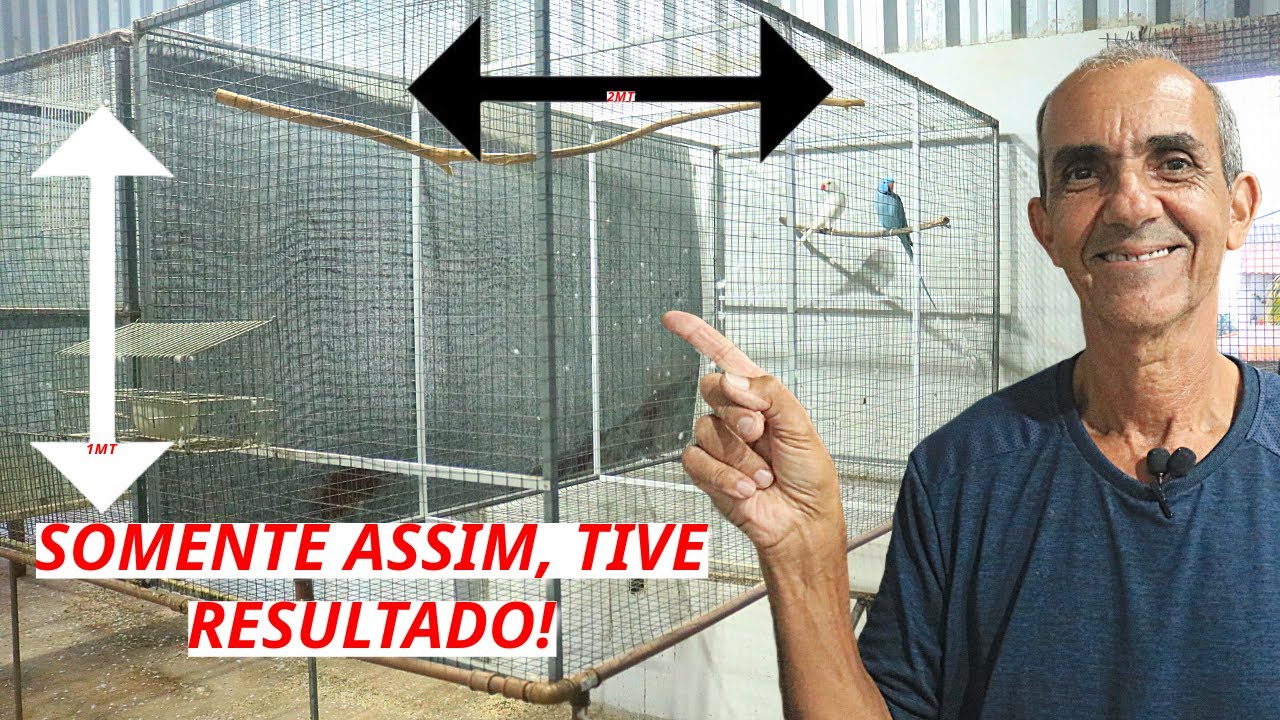 QUAL TAMANHO IDEAL PARA VIVEIRO DE RING NECK REPRODUZIR